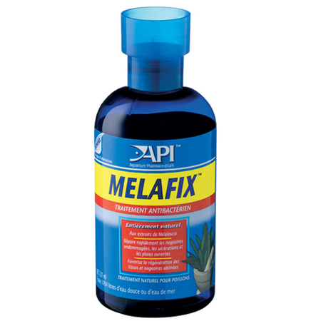 API Melafix