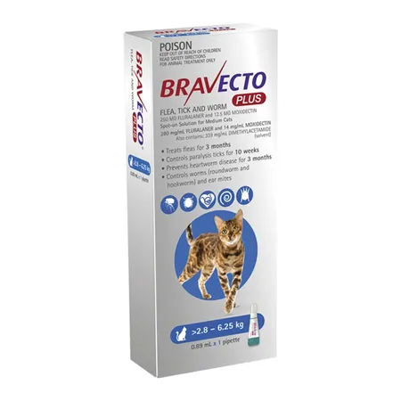 Bravecto Plus all-in-one for Medium Cats - 2.8-6.25kg 1Pack