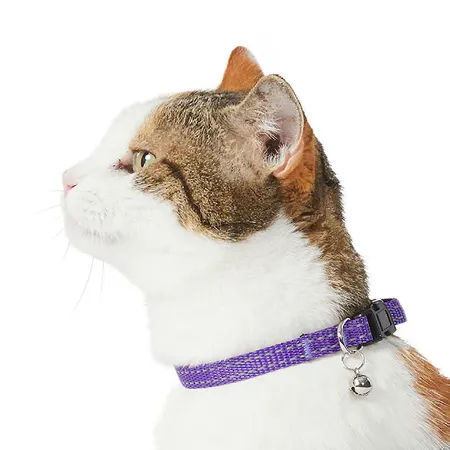 All Day Core Reflective Breakway Cat Collar Purple 20-30cm