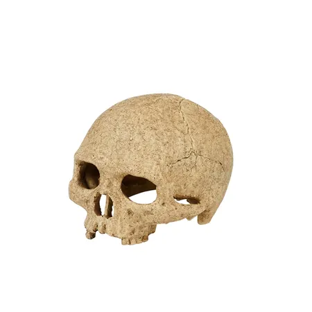 Exo Terra Primate Skull Reptile Ornament L