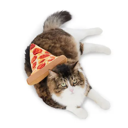 All Day Halloween Pizza Slice Dog and Cat Costume XS-S