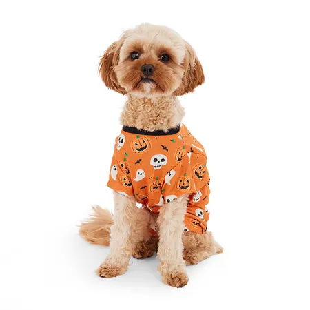 All Day Halloween Pumpkin Ghosts & Bats Dog Pyjamas Medium