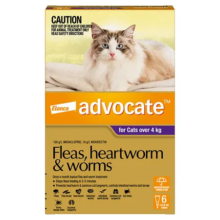 Advocate Large Cat Flea Heartworm & Worm Pipette Purple 6PK x 2