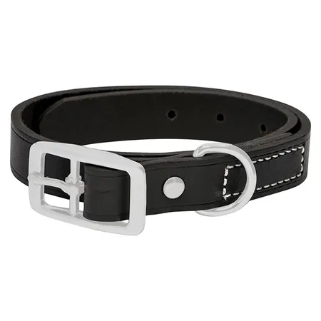 Good 2 Go Plain Leather Dog Collar Black Medium