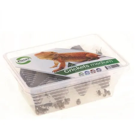 Pisces Live Crickets Medium Pack