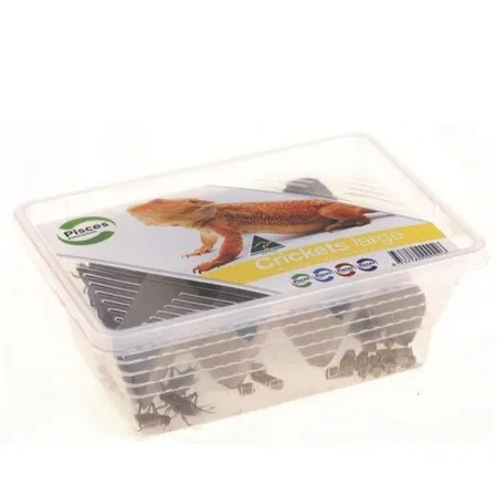 Pisces Live Crickets Large Pack