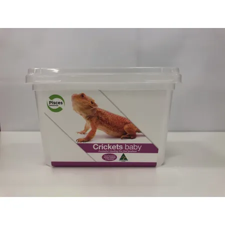 Pisces Live Crickets Baby Pack