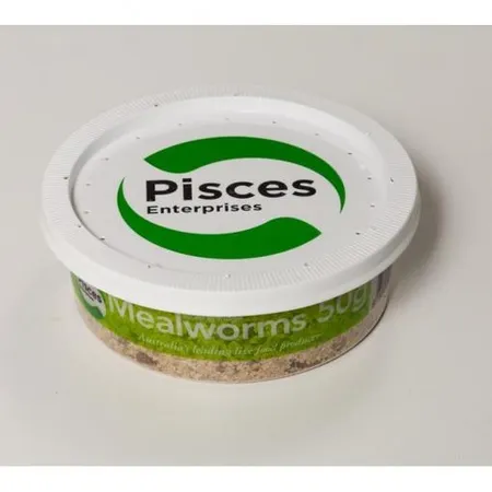 Pisces Live Meal Worms Regular 50g