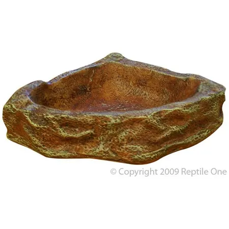 Reptile One Corner Bowl Small