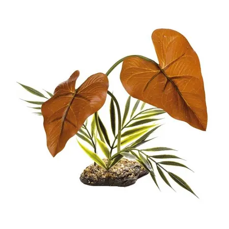 Komodo Rainforest Reptile Canopy 38cm