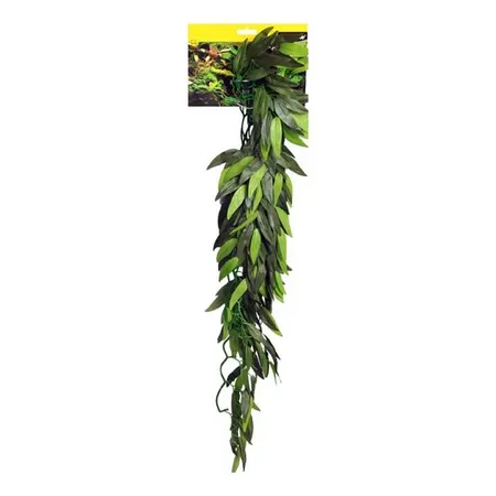 Reptile One Cascading Tradescantia Reptile Plant Green 72cm