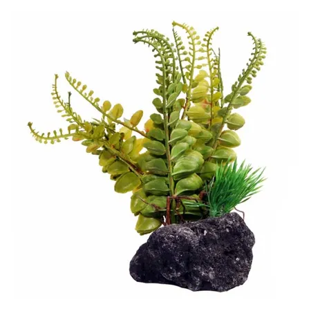 Reptile One Pumice Base Fern Reptile Fern 14x10x17cm