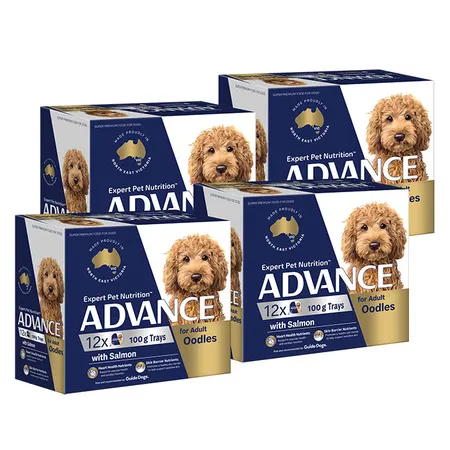 Advance Oodles Adult Dog Food 100gx48