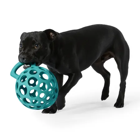 All Day Cage Ball With Handle Dog Toy Assorted Large