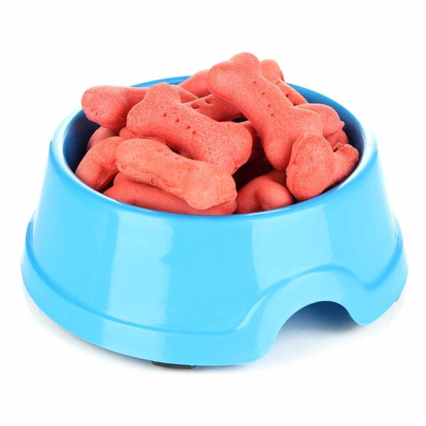 Bootique Pumpkin Bowl for Dogs & Cats, 3 Cups